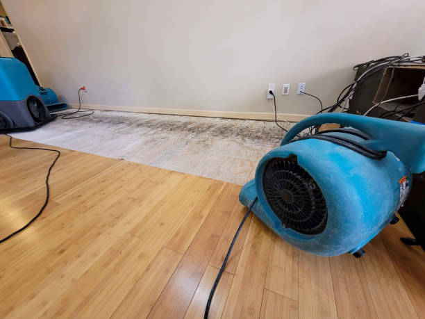 Professional Ceiling Water Damage Repair technician working in Mendota, IL